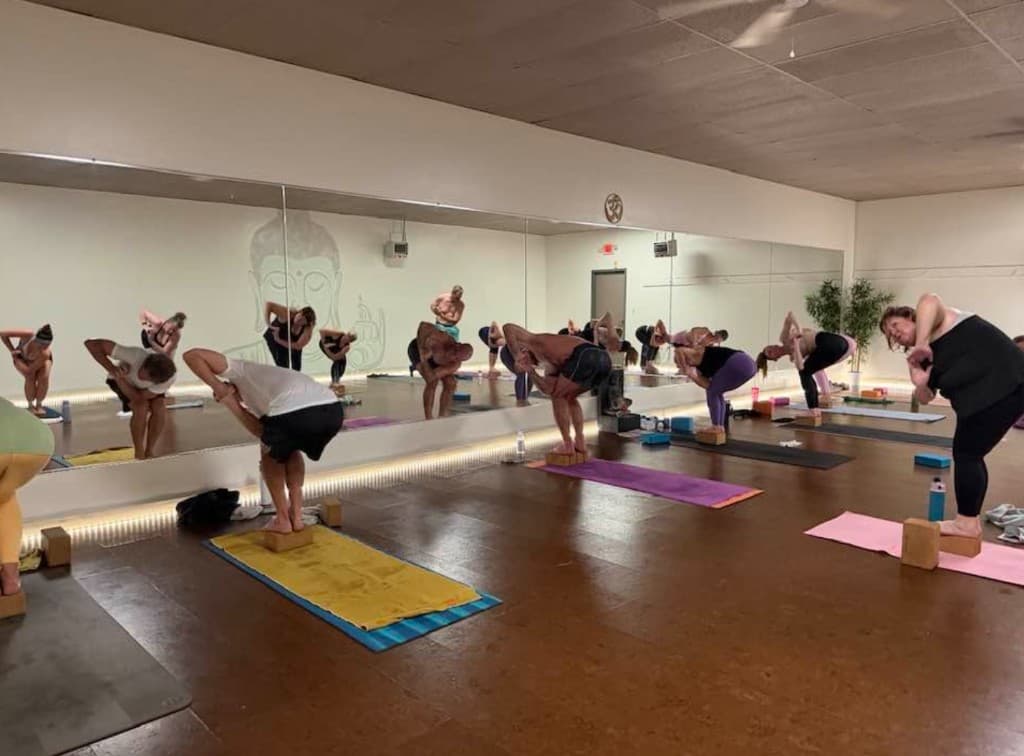 Intro to Vinyasa